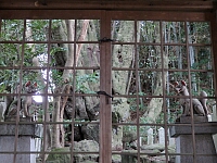 日記の画像