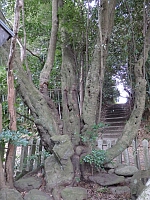 日記の画像