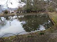 日記の画像