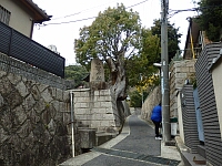 日記の画像