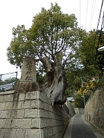 日記の画像