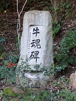 日記の画像