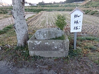 日記の画像