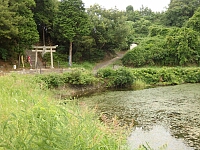 日記の画像