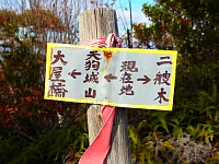 日記の画像