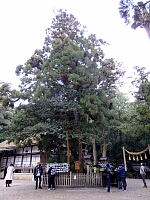 日記の画像