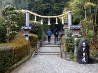 日記の画像