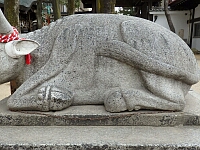 日記の画像
