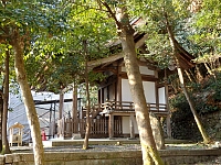 日記の画像