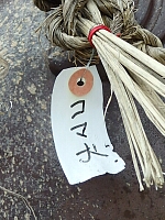 日記の画像